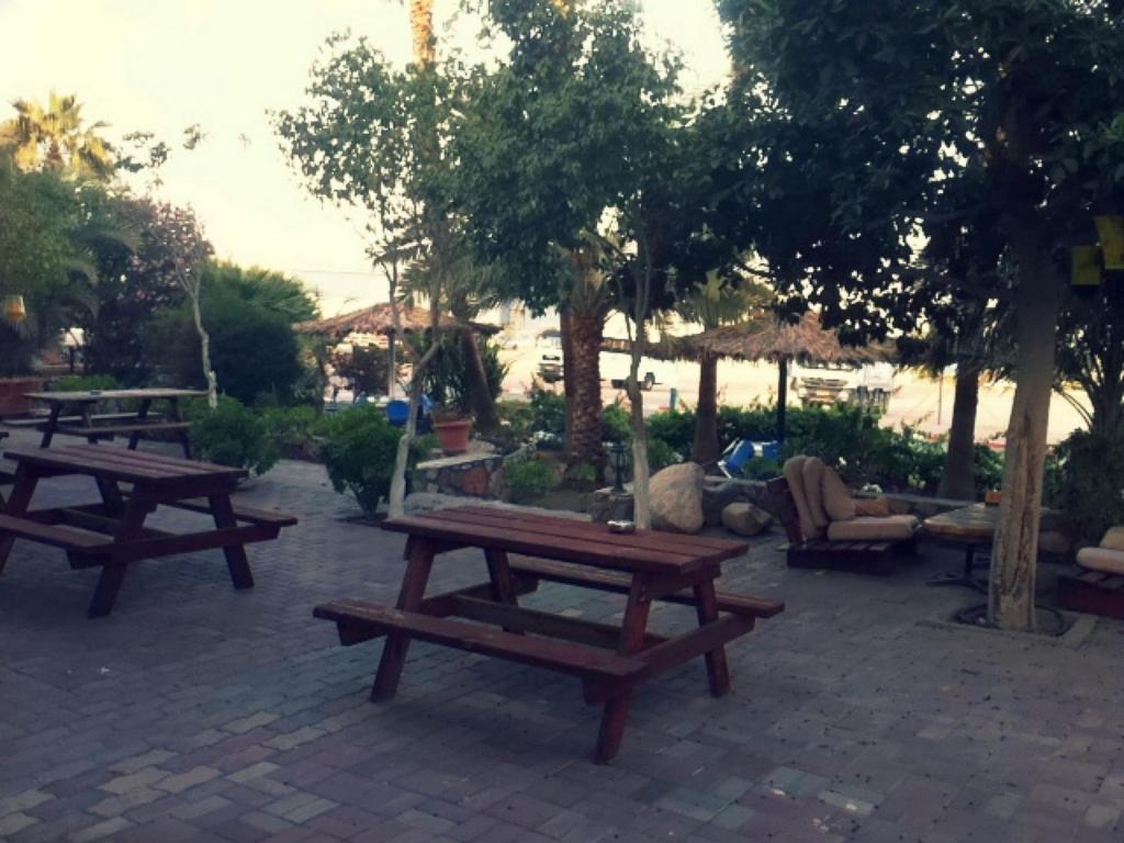Arava